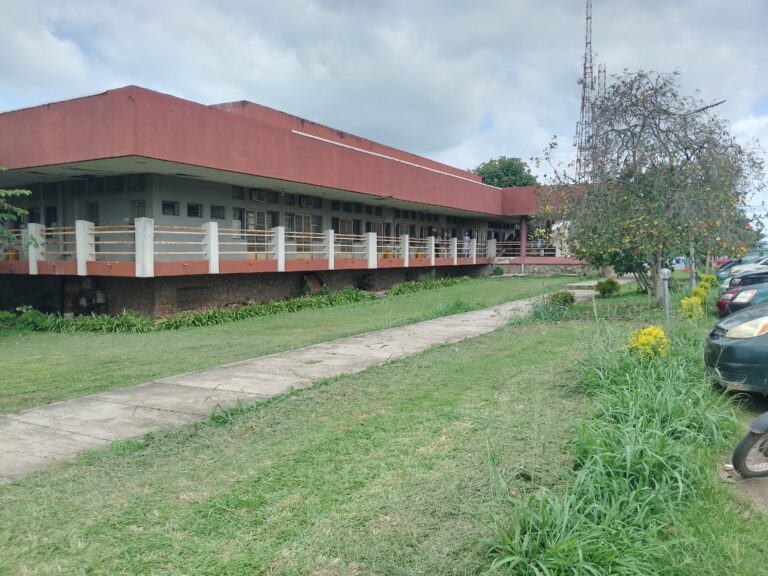 Cloud computing e infraestructura IA